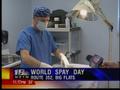 News video: World Spay Day Spreads Awareness
